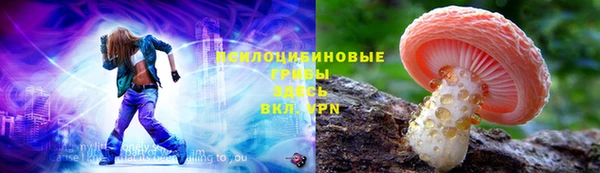 соль ск Валдай