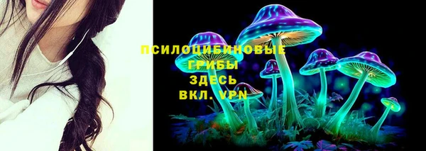 ГАЛЛЮЦИНОГЕННЫЕ ГРИБЫ Заволжск