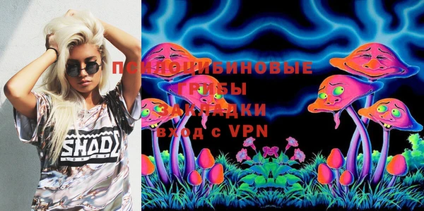 молекула духа Нягань