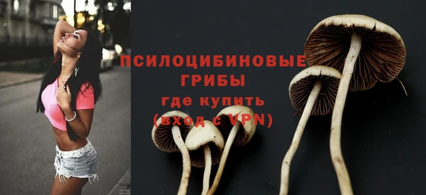 синтетический гашиш Няндома