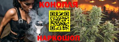 дмт Камышлов