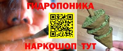 марихуана Кингисепп