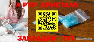 дмт Камышлов