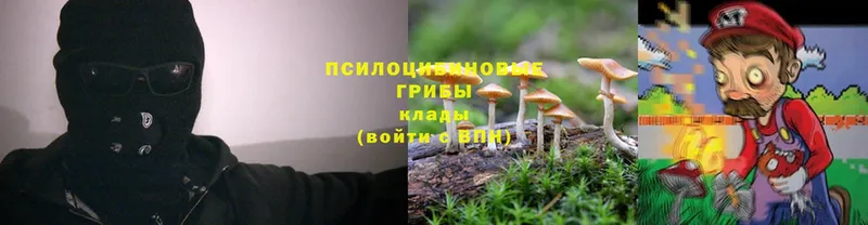 Галлюциногенные грибы MAGIC MUSHROOMS  Кумертау 