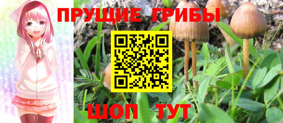 Галлюциногенные грибы GOLDEN TEACHER Кумертау