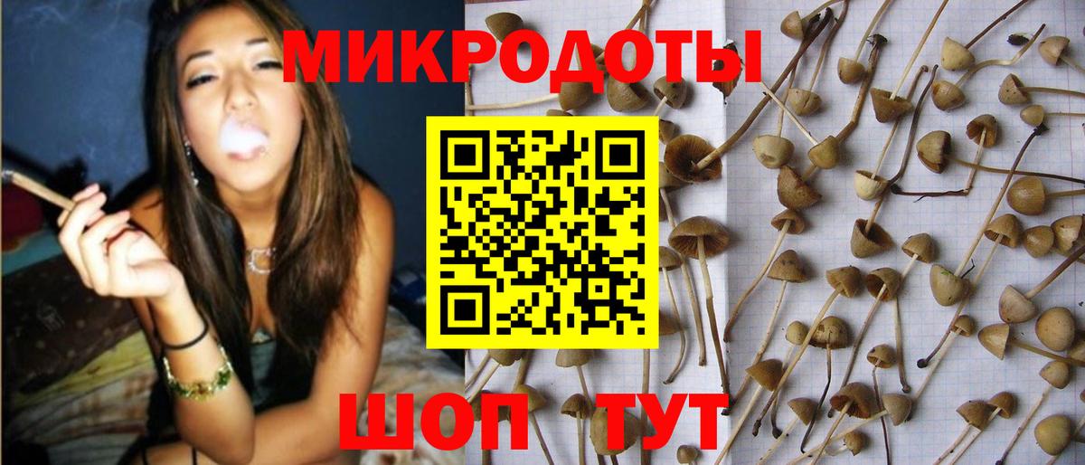 Кумертау  Псилоцибиновые грибы мицелий  Вход с VPN 